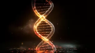 科学家突破性研究：成功转移长寿基因，实验动物寿命显著延长