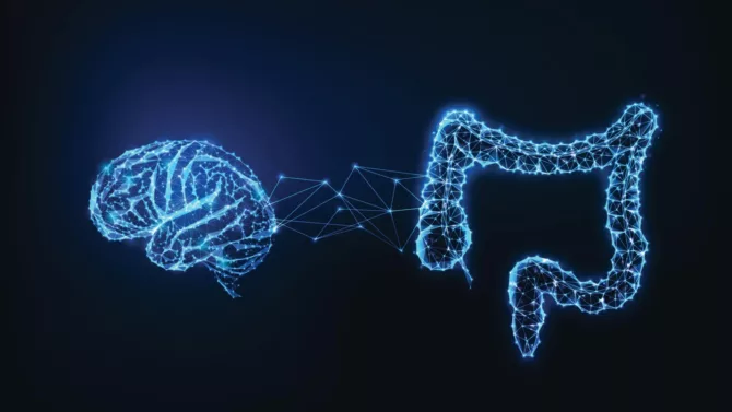 科学家发现肠道-大脑隐藏回路，触发蛋白质渴望