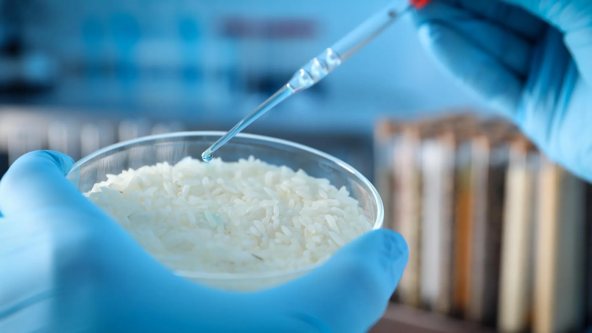 科学家发现大米奇异特性，转化为智能材料