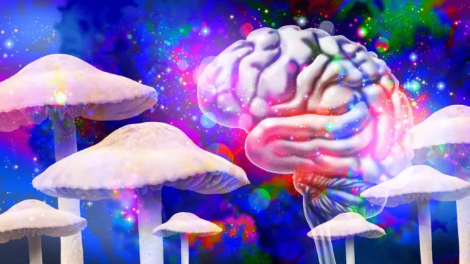 迷幻蘑菇：长期改变大脑结构