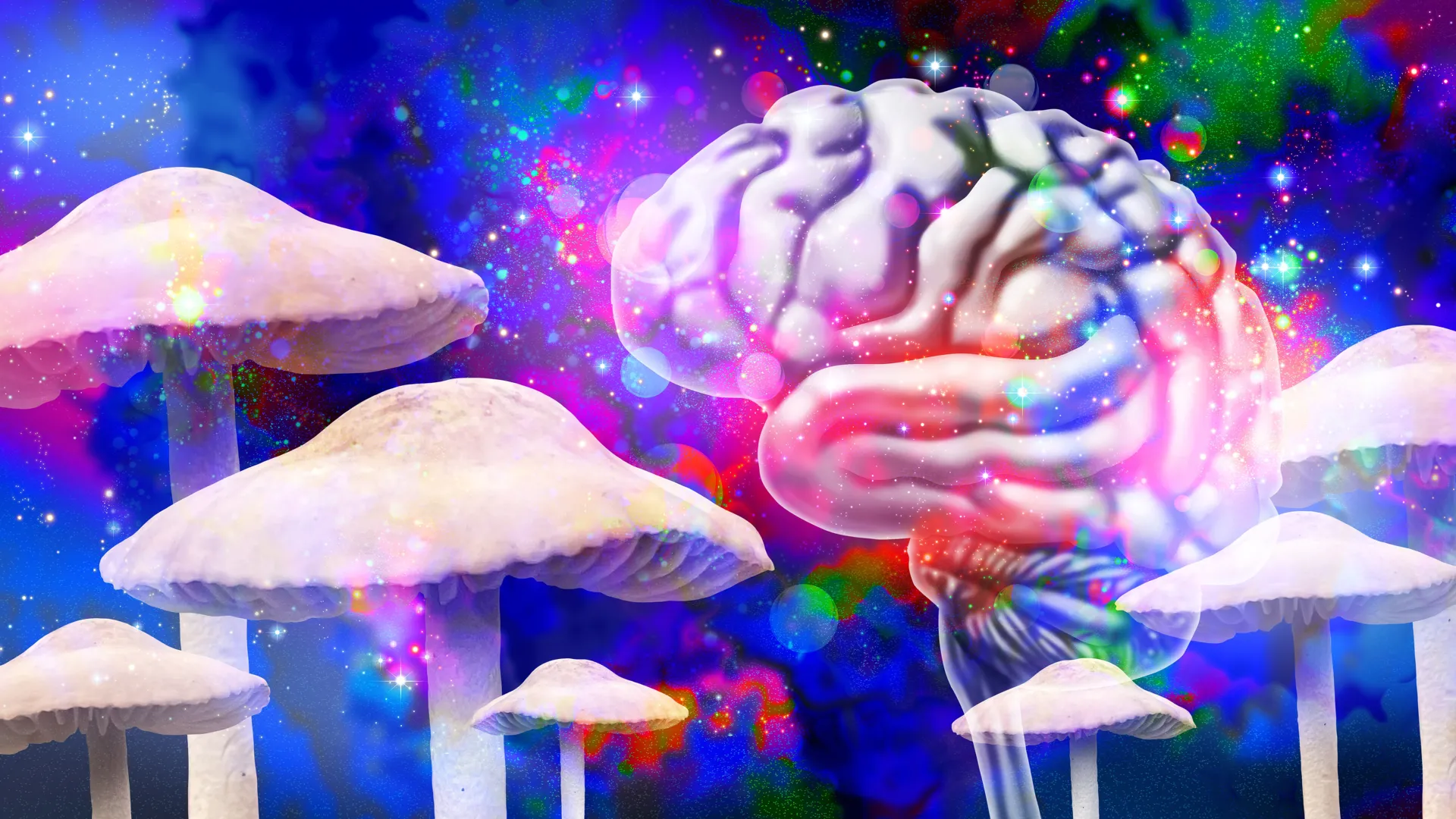 迷幻蘑菇：长期改变大脑结构