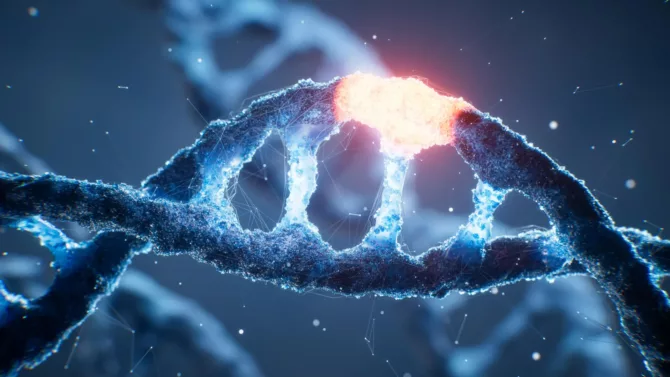 人类DNA”开关”成功解码
