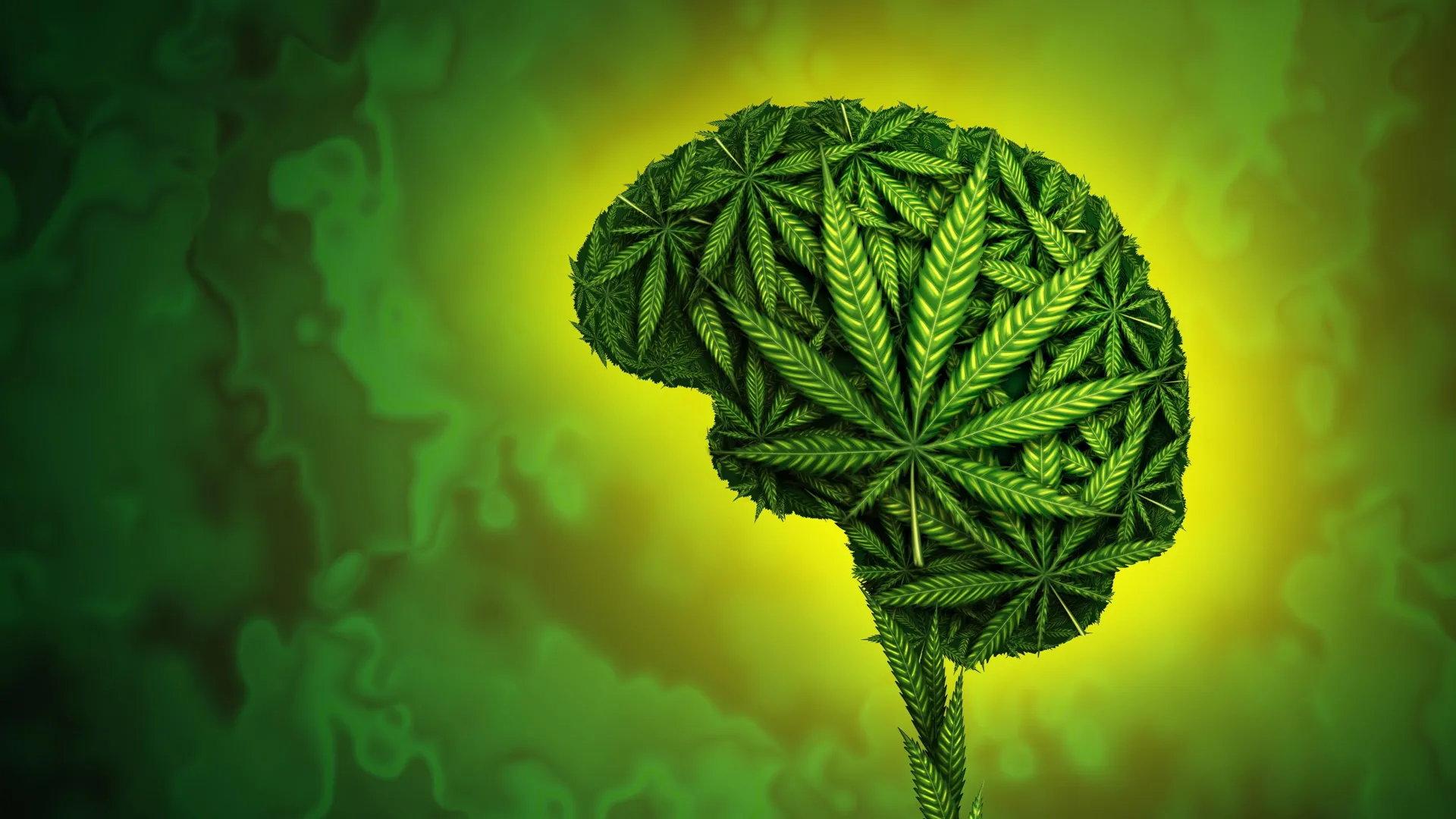 大麻或延缓青少年记忆思维发育