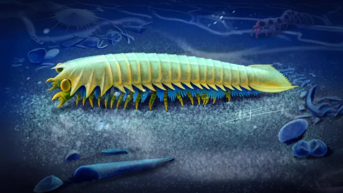 远古生物化石破解蜘蛛毒牙之谜
