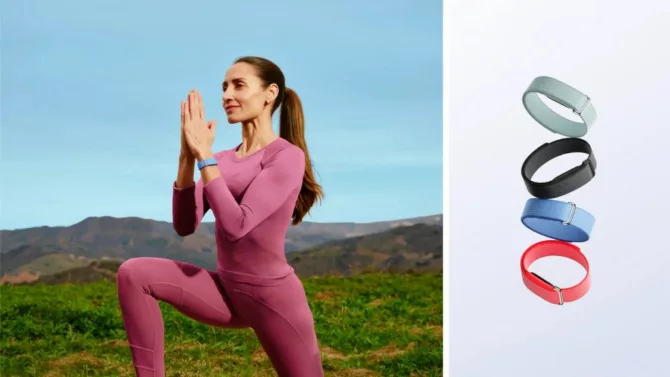 Google Fitbit Air印度开售 千元定价或劝退大众市场