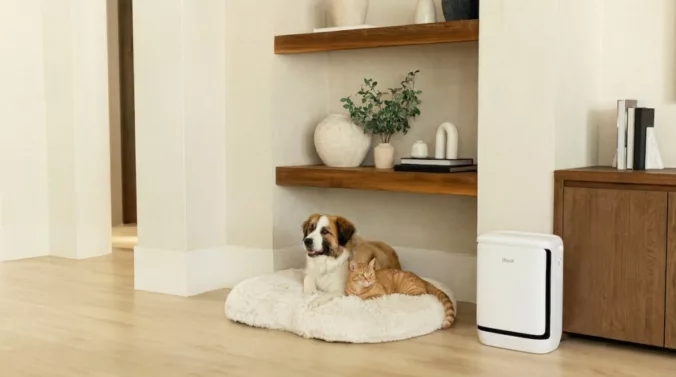 Levoit推出Vital Pet Pro空气净化器，专攻宠物异味与浮毛烦恼